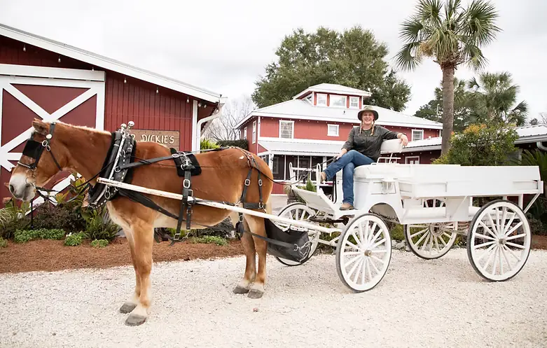 Red Gate Farms Carriage Rides