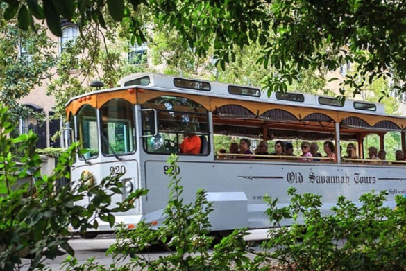 Narrated Historic Sightseeing Trolley Tour